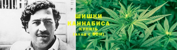 гидра Балахна
