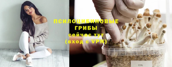 сатива Богданович