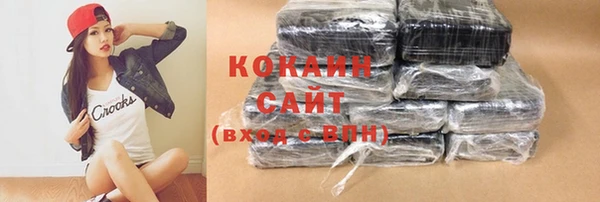 тгк Богородицк