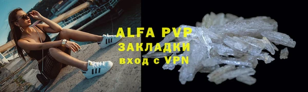 сатива Богданович
