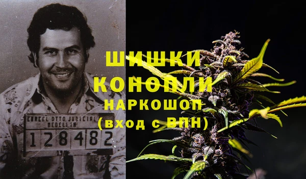 тгк Богородицк